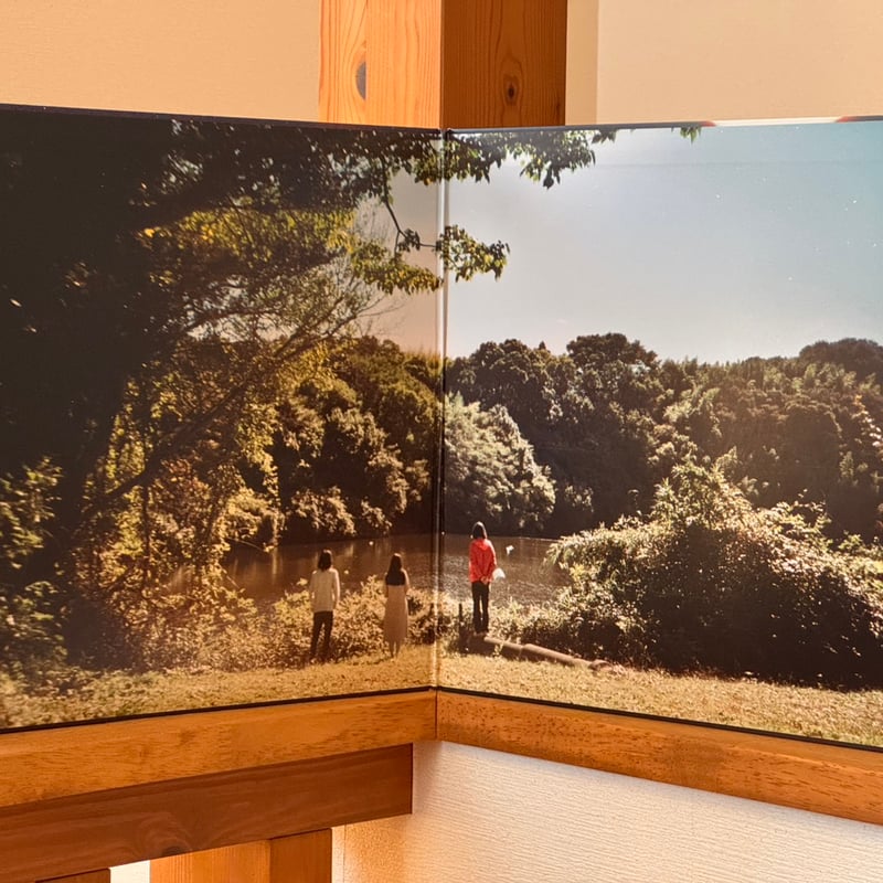 Lamp 『一夜のペーソス』LPレコード（2枚組） Lamp 『一夜のペーソス』LPレコード（2枚組） | botanicalhouse