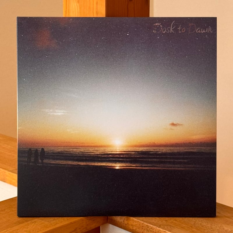 Lamp 『一夜のペーソス』LPレコード（2枚組） | botanicalhouse