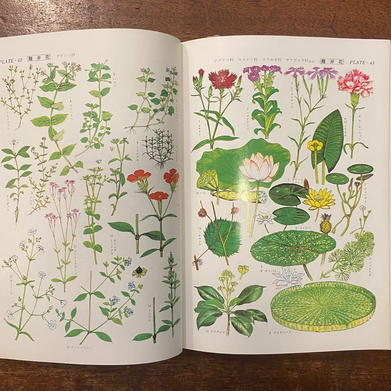 原色植物図鑑 日本百科大事典別冊」 | Frobergue online store