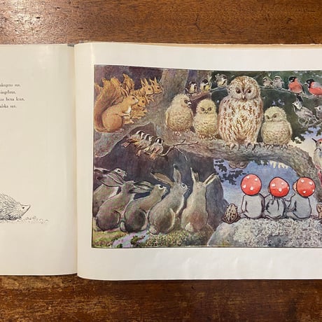 「Tomtebo barnen（1919年）」Elsa Beskow（エルサ・ベスコフ）