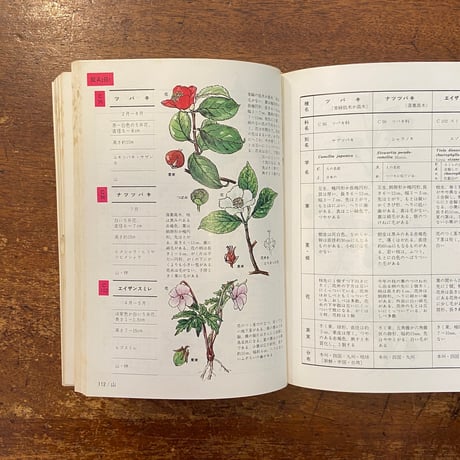 「採集地別 原色野外植物検索大図鑑」佐武義輔 監修　石戸忠 著