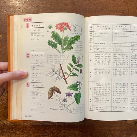「採集地別 原色野外植物検索大図鑑」佐武義輔 監修　石戸忠 著