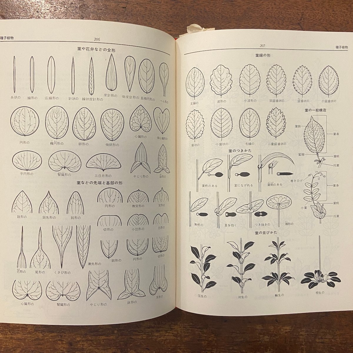 原色植物図鑑 日本百科大事典別冊」 | Frobergue online store