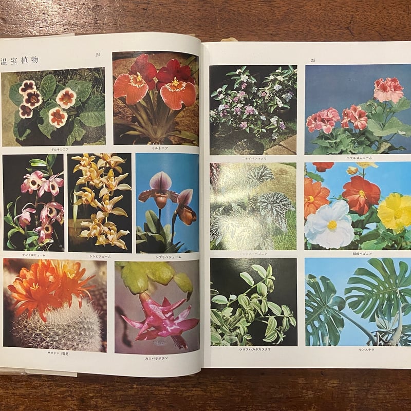 原色植物図鑑 日本百科大事典別冊」 | Frobergue online store