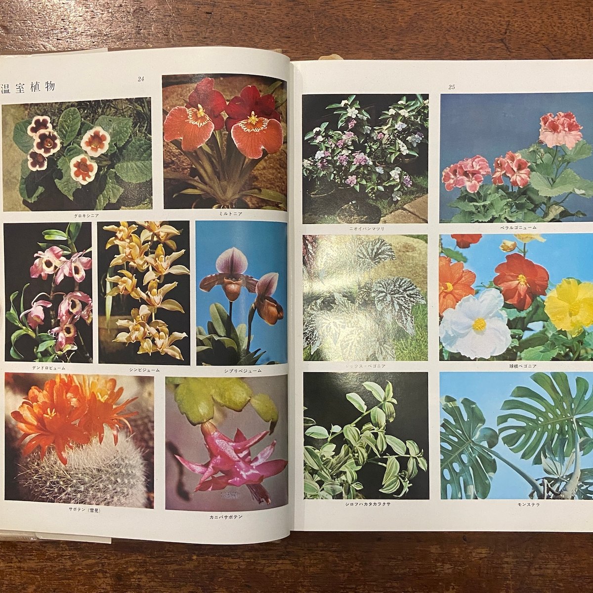 原色植物図鑑 日本百科大事典別冊」 | Frobergue online store