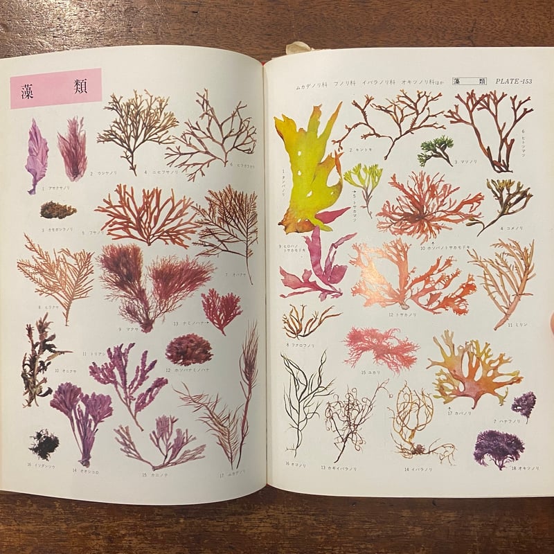 原色植物図鑑 日本百科大事典別冊」 | Frobergue online store