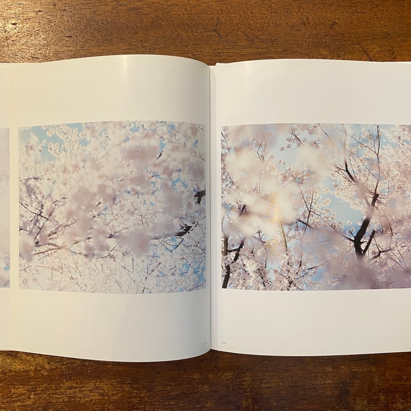 熊野、雪、桜」鈴木理策 | Frobergue online store