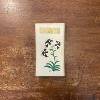 「社会と自分（1925年）」夏目漱石