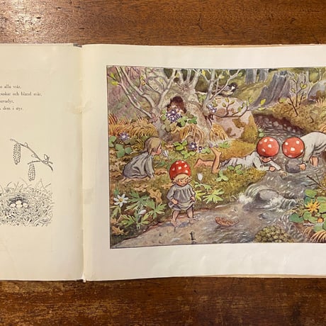 「Tomtebo barnen（1919年）」Elsa Beskow（エルサ・ベスコフ）