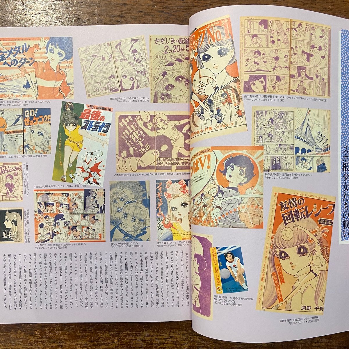 別冊太陽 子どもの昭和史少女マンガの世界 Ⅱ（昭和三十八年〜六十四年