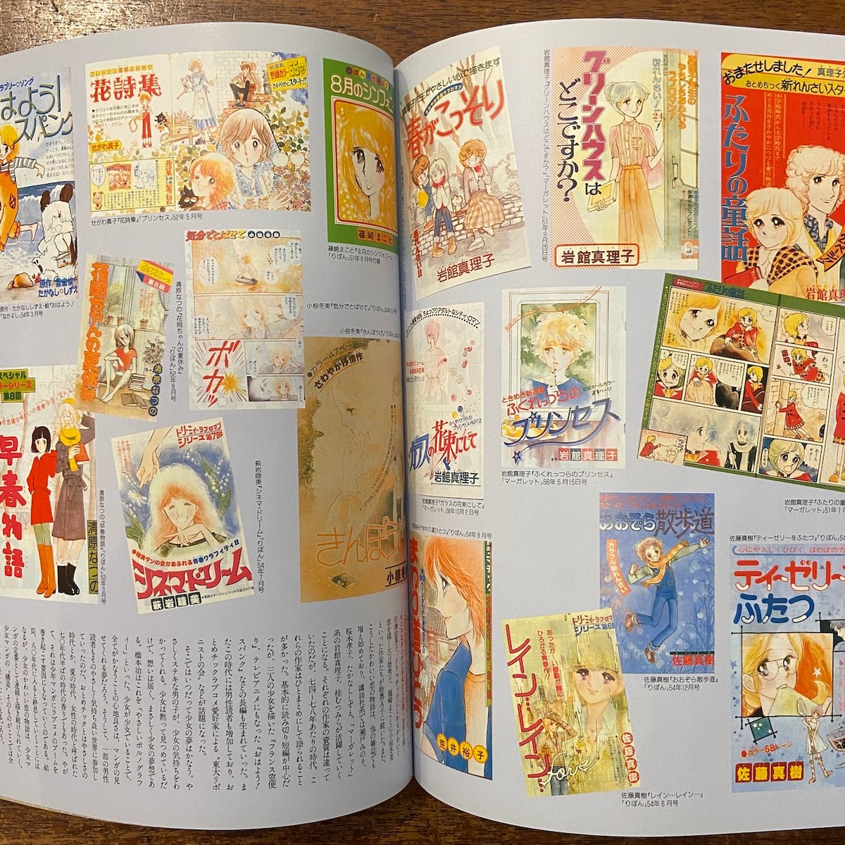 別冊太陽 子どもの昭和史少女マンガの世界 Ⅱ（昭和三十八年〜六十四年