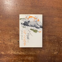 「ジャン・ジュネ詩集」中島登 訳　斉藤忠夫 装幀