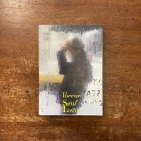 「永遠のソール・ライター」