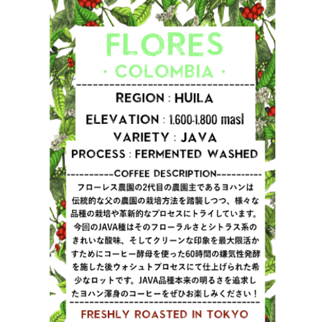 ジャバ種 Colombia Las Flores JAVA Fermented Washed / コロンビア フローレス農園 ファーメンテッド ウォッシュト