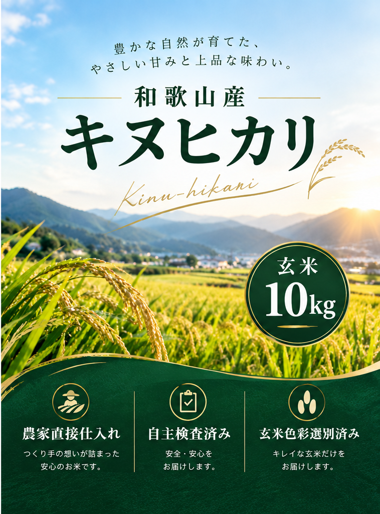 和歌山県産キヌヒカリ/玄米/10kg/令和8年産 | 有限会社 朝日食糧
