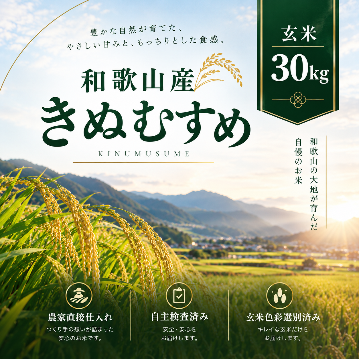 和歌山県産きぬむすめ/玄米/30kg/令和8年産 | 有限会社 朝日食糧