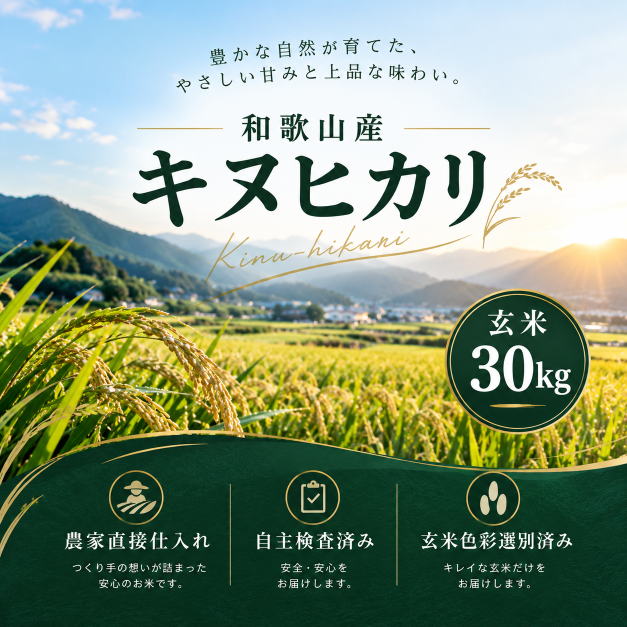 和歌山県産キヌヒカリ/玄米/30kg/令和8年産 | 有限会社 朝日食糧