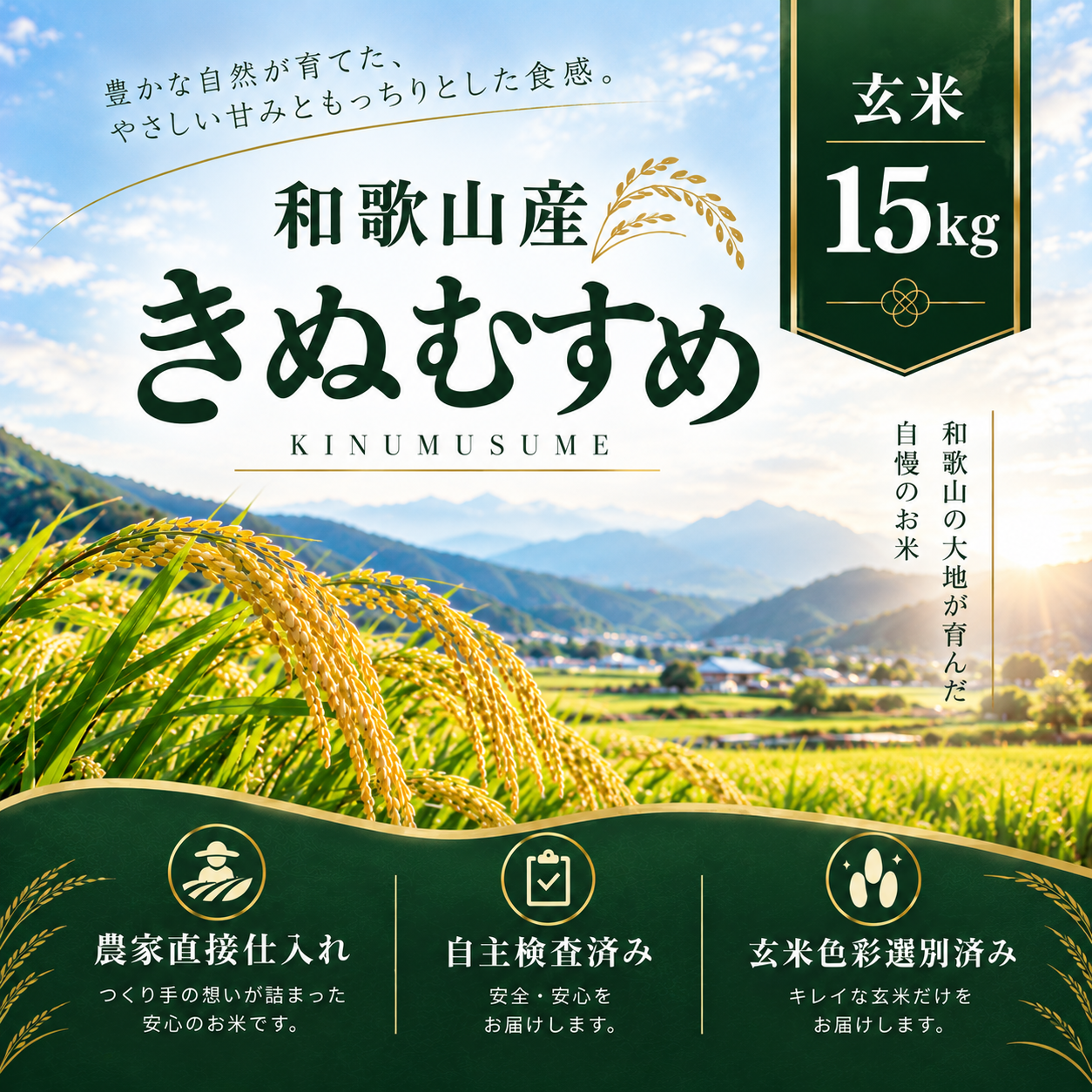 和歌山県産きぬむすめ/玄米/15kg/令和8年産 | 有限会社 朝日食糧