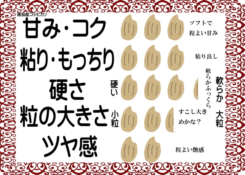 徳島県産コシヒカリ/玄米/30kg/令和7年産 | 有限会社 朝日食糧