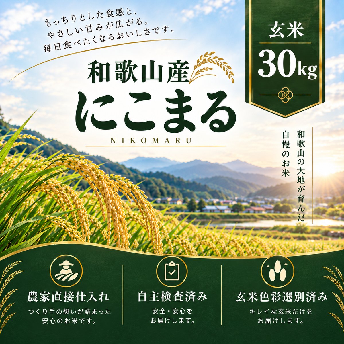 和歌山県産にこまる/玄米/30kg/令和8年産 | 有限会社 朝日食糧