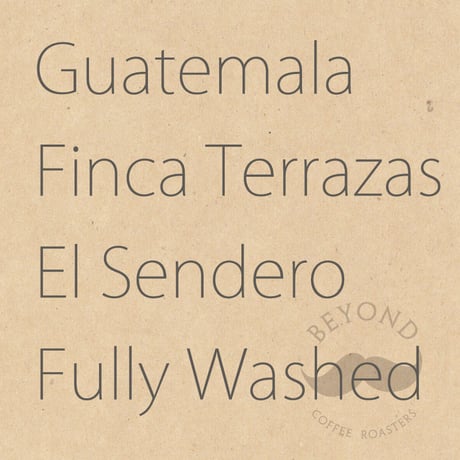 Guatemala Finca Terrazas El Sendero Fully Washed