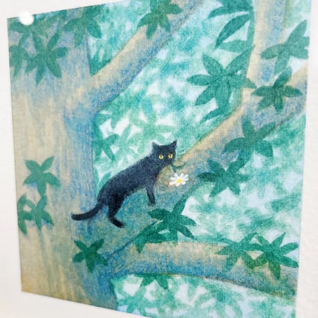 嶽まいこ｜black cat on tree