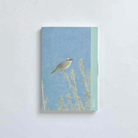 ビョン・ヨングン Younggeun Byun｜BIRDS