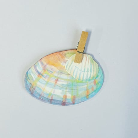 大久保つぐみ｜貝のカードセット「うみからおたより」