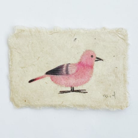 嶽まいこ｜toybird 1〜4