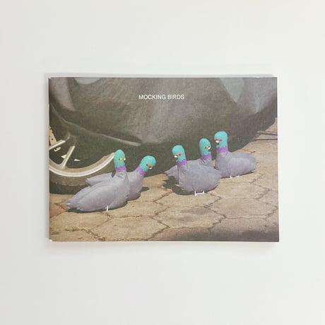 BIRD PIT｜MOCKING BIRDS