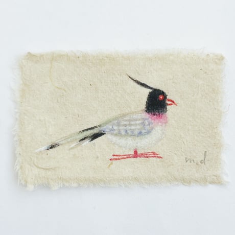 嶽まいこ｜toybird 5〜8
