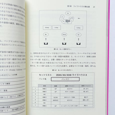 ライブハウス・スタディーズ 箱を取り巻く生態系