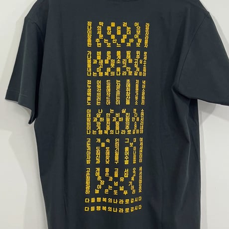 ハン・デス Tシャツ