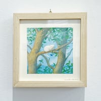 嶽まいこ｜white cat on tree