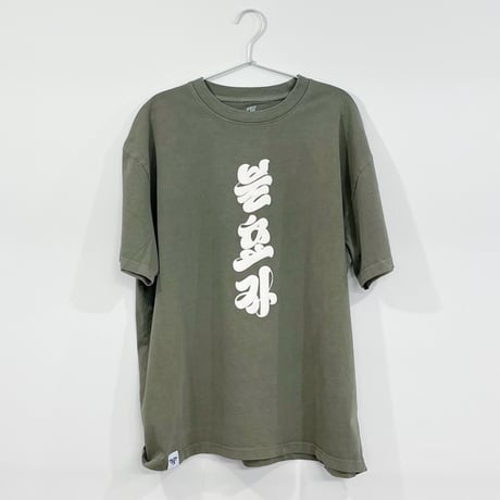 タネなしスイカ・キムデジュン　Tシャツ