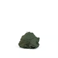 LOCALLY(ローカリー)　light short muffler    　　Moss Green