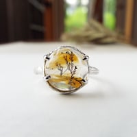 デンドリティッククォーツのリング （蜃気楼）