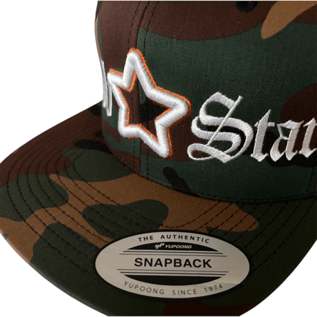 BIG LOGO flat visor cap camo