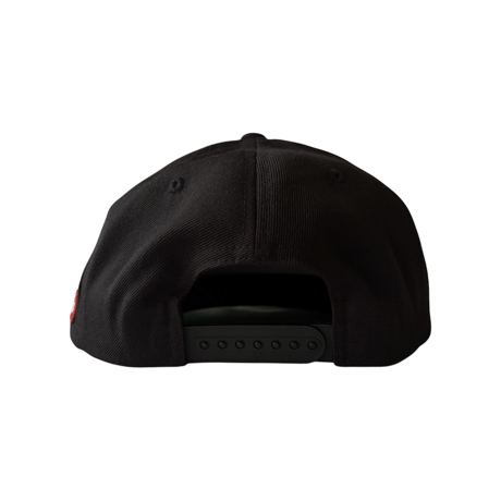 metallic star cap