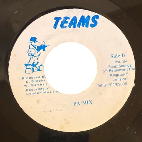 LADY OF MY DREAMS / WAYNE MARSHALL (7インチレコード)