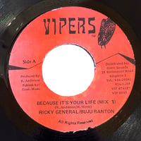 BECAUSE IT'S YOUR LIFE / RICKY GENERAL & BUJU BANTON (7インチレコード)