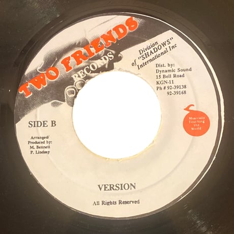 PRIVATE PROPERTY / BRIAN, TONY GOLD & SHABBA RANKS (7インチレコード)