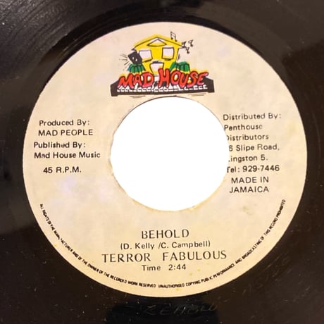 BEHOLD / TERROR FABULOUS (7インチレコード)