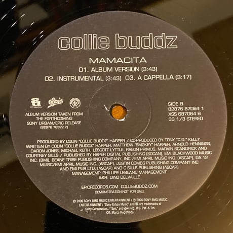 COME AROUND / COLLIE BUDDZ (12インチレコード)