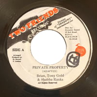 PRIVATE PROPERTY / BRIAN, TONY GOLD & SHABBA RANKS (7インチレコード)