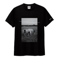 Ys綿Tシャツ（ブラック）5.6oz