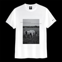 Ys綿Tシャツ（ホワイト）5.6oz