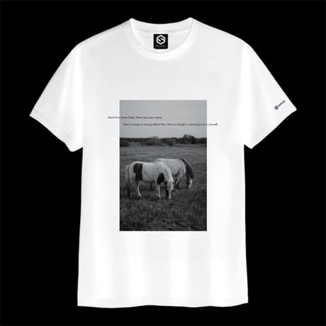 Ys綿Tシャツ（ホワイト）5.6oz