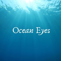 【11/28 (土) 新宿】Ocean Eyes ファンベール振付WS