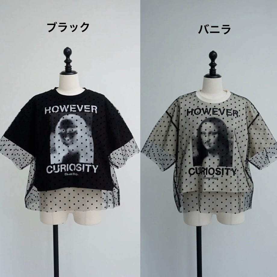 6a8846a97cf6bd9eb7b6d173